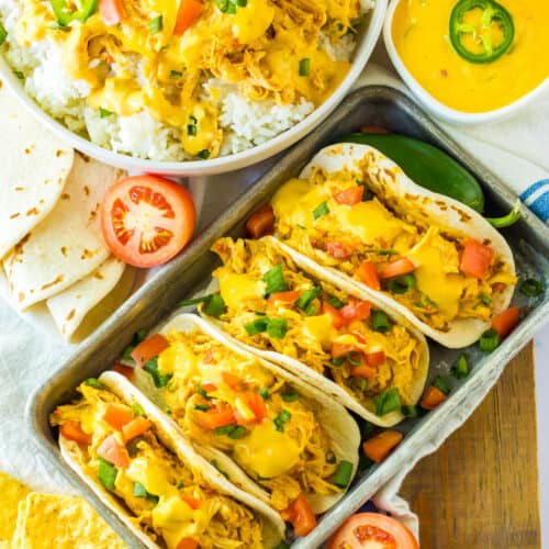 slow cooker queso chicken in tacos and over rice