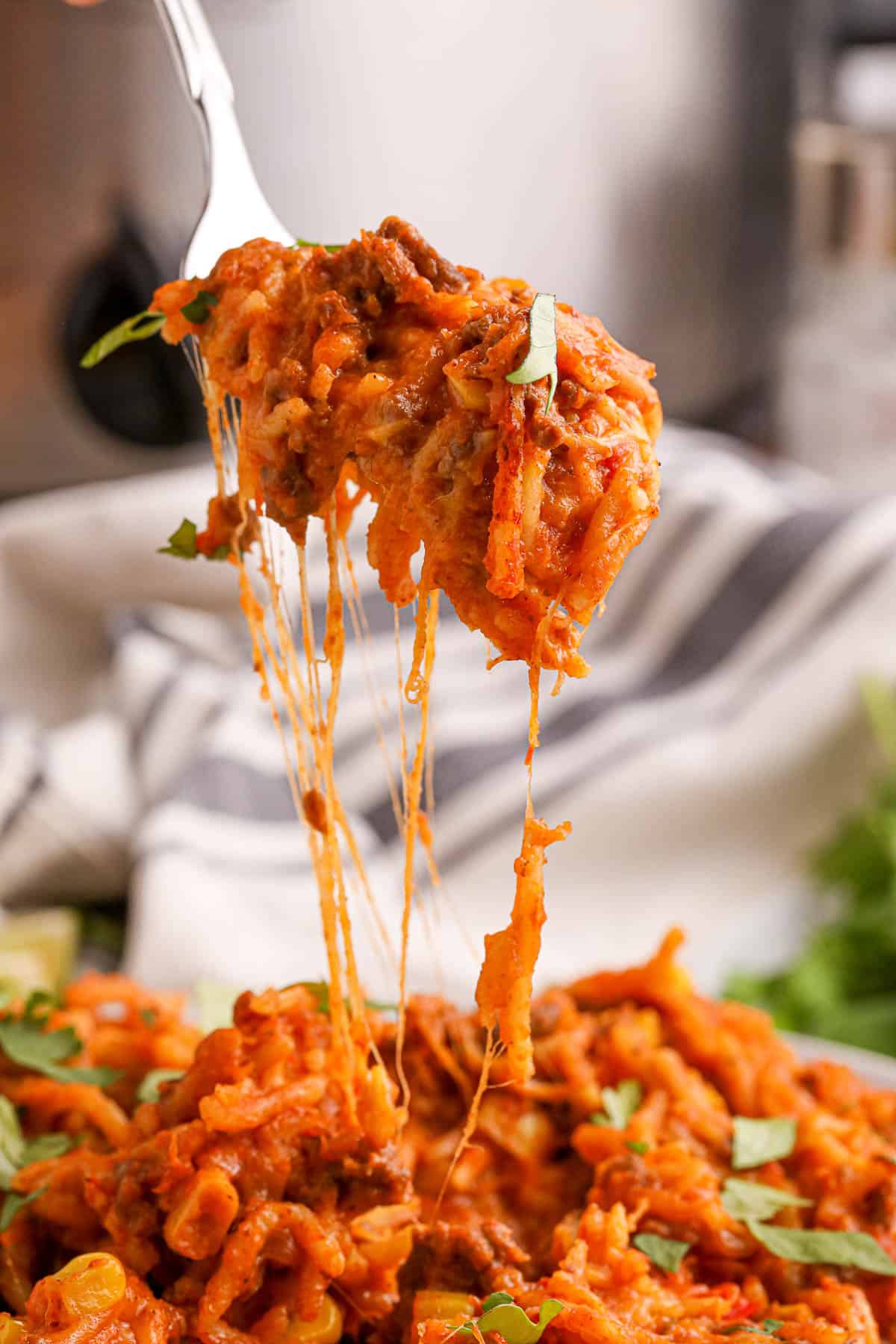 a fork lifting spaghetti noodles with a mexican spaghetti sauce